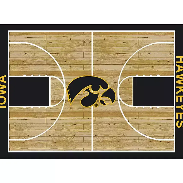 Area Rugs-Kirklands Home University of Iowa Courtside Area Rug, 4x6
