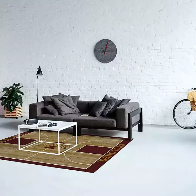 Area Rugs-Kirklands Home Iowa State University Courtside Area Rug, 4x6