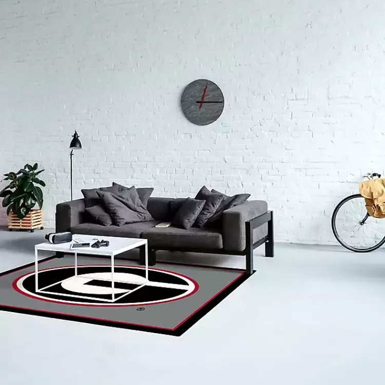 Area Rugs-Kirklands Home University of Georgia Area Rug, 4x6