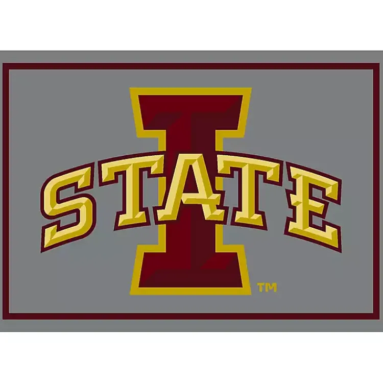 Area Rugs-Kirklands Home Iowa State University Area Rug, 4x6