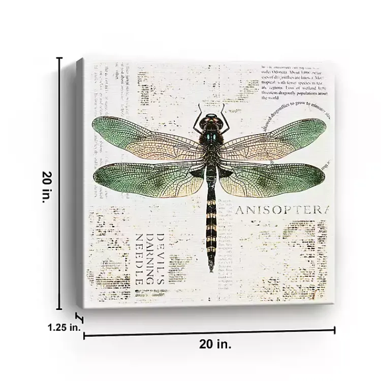 Canvas Art-Kirklands Home Green Dragonfly Canvas Art Print