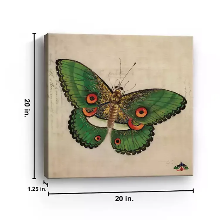 Canvas Art-Kirklands Home Green Vintage Butterfly Canvas Art Print