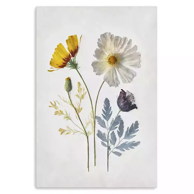 Canvas Art-Kirklands Home Pressed Flower Memories II Canvas Art Print