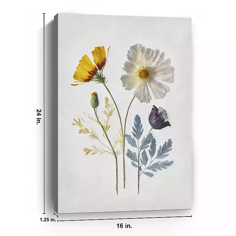 Canvas Art-Kirklands Home Pressed Flower Memories II Canvas Art Print