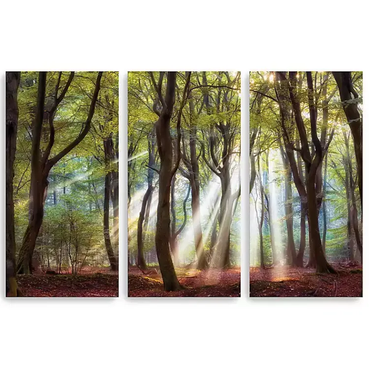 Canvas Art-Kirklands Home Majestic Morning Canvas Art Prints, Set of 3 Green