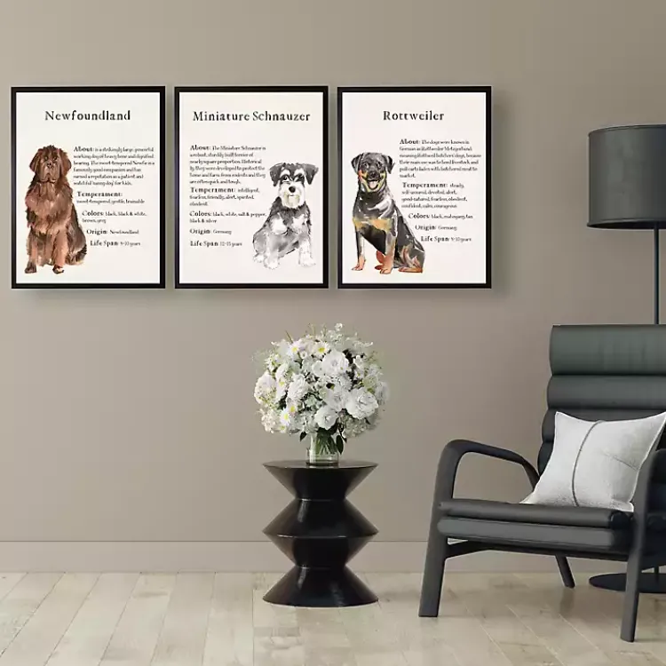Wall Quotes & Signs-Kirklands Home Miniature Schnauzer Facts Framed Wall Plaque