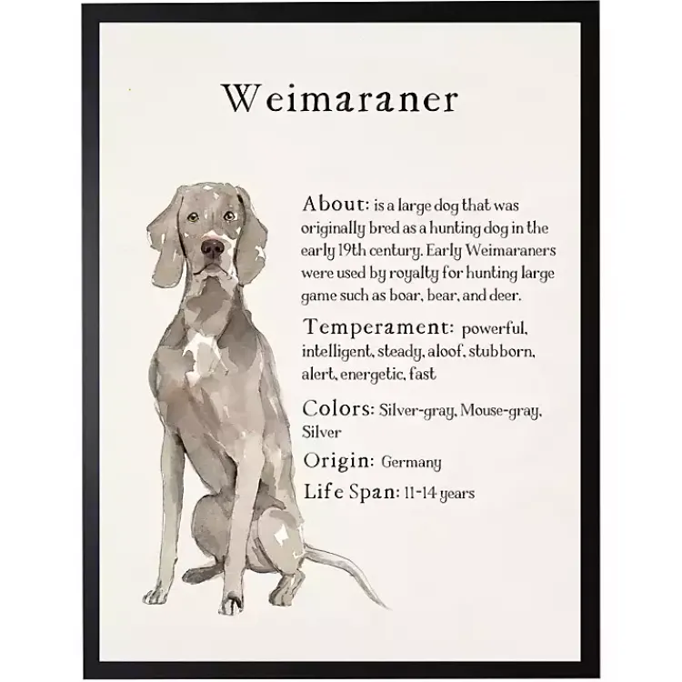 Wall Quotes & Signs-Kirklands Home Weimaraner Facts Framed Wall Plaque