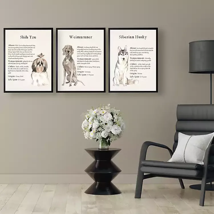 Wall Quotes & Signs-Kirklands Home Weimaraner Facts Framed Wall Plaque