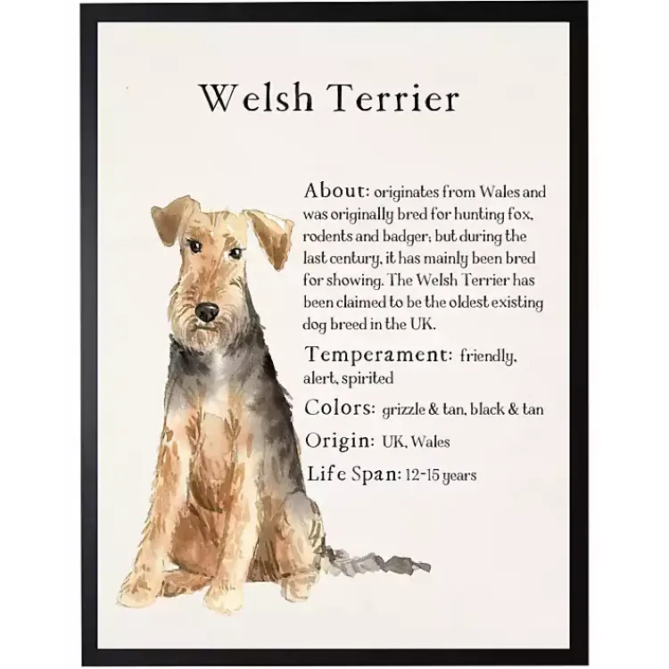 Wall Quotes & Signs-Kirklands Home Welsh Terrier Facts Framed Wall Plaque