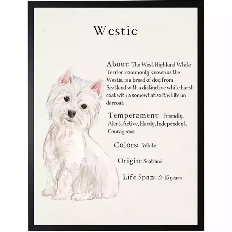 Wall Quotes & Signs-Kirklands Home Westie Facts Framed Wall Plaque