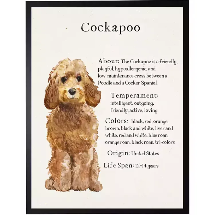 Wall Quotes & Signs-Kirklands Home Golden Cockapoo Facts Framed Wall Plaque
