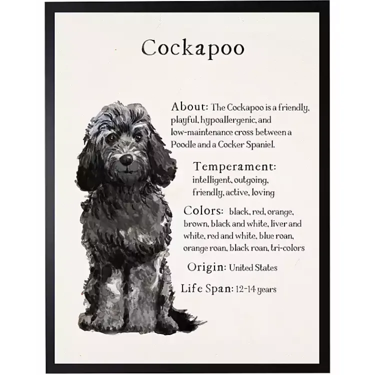 Wall Quotes & Signs-Kirklands Home Black Cockapoo Facts Framed Wall Plaque